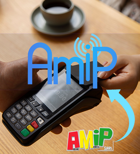 Logo Solutions AMIP