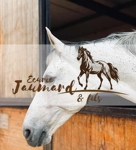 Logo Écurie Jaumard & fils